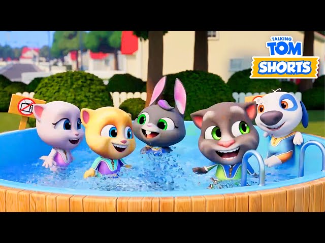 Talking Tom ☀️ HELLO SUMMER 😎 2 HOUR PACK 😻 Cartoon for kids Kedoo Toons TV