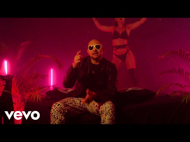 Sean Paul - Bad Inna Bed (Official Video)