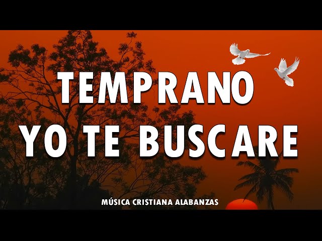 TEMPRANO YO TE BUSCARE 💕 Alabanzas Que Bendicen Tu Casa - Himnos De Adoracion 2024- Musica Cristiana