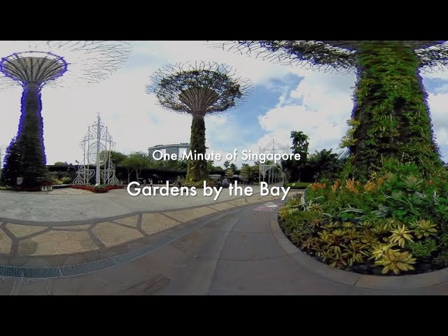 One Minute of Singapore - Gardens by the Bay