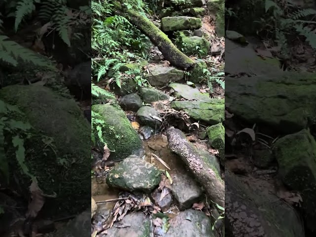 Meghalaya | Arwah Cave Trek POV