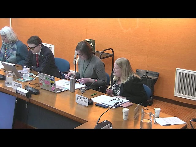 Children, Young People and Families Scrutiny Panel 06/02/2025