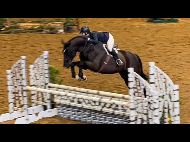 96. 3’6” junior hunter round 1st place