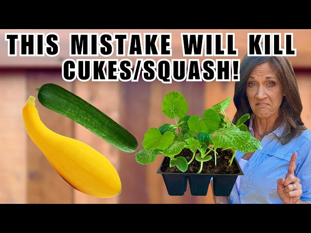 STOP Killing Cucumbers & Squash: Avoid This Seed Starting Disaster!