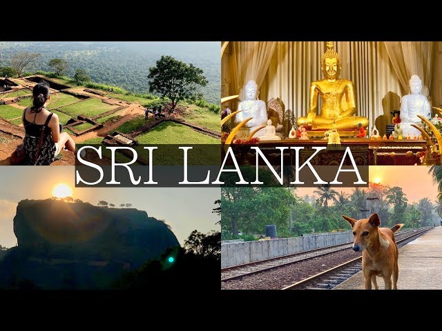 7 Days in Sri Lanka Vlog | Sigiriya, Kandy, Dambulla, Galle, Unawatuna, Colombo