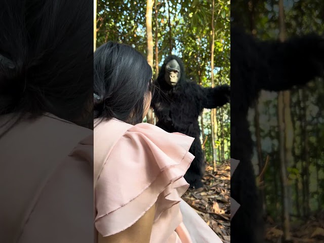 Pregnant mother in the forest was scared by a gorilla #shorts #hacks #outdoors