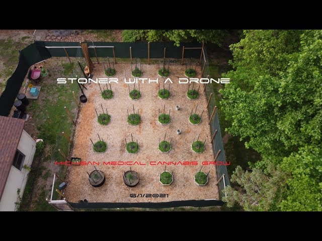 Stoner With A Drone - Michigan Medical Cannabis Grow - 6/1/2021