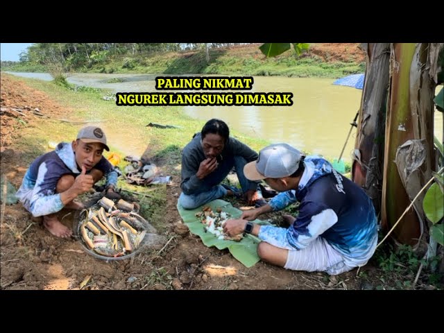 PALING NIKMAT NGUREK BELUT LANGSUNG DIMASAK ll Kompilasi Video Mancing Pusanggala #pusanggala