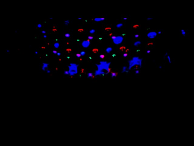 BNRL SpatialColors