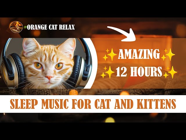 Top Animal Psychologist Reveals Best Sleep Music for Anxious Cats!