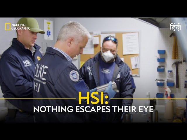 HSI: Nothing Escapes Their Eye | To Catch a Smuggler | हिन्दी | National Geographic