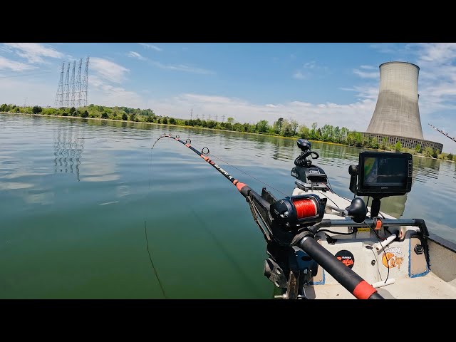 Catfishing for Money - Chickamauga Reservoir