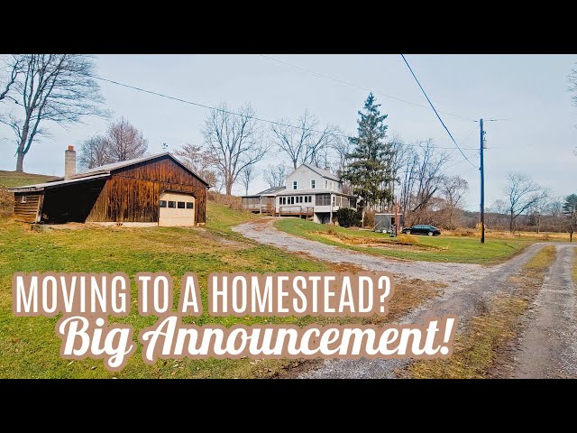 BIG ANNOUNCEMENT! Life Update | Moving to a homestead?