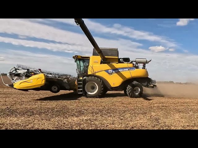 CANADIAN FARMER - GREAT RIDE! in a new NEW HOLLAND CR7 90 combine and MacDon flex draper head