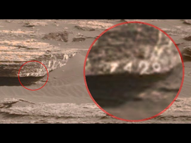 A Number 1420? Fossils and other anomalies in Curiosity images