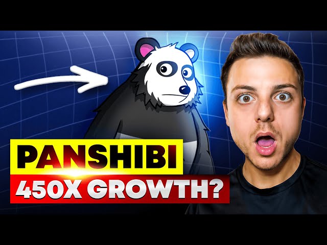 🔥DON’T MISS OUT 🔥 Panshibi 🔥 THE HIDDEN GEM OF 2025!