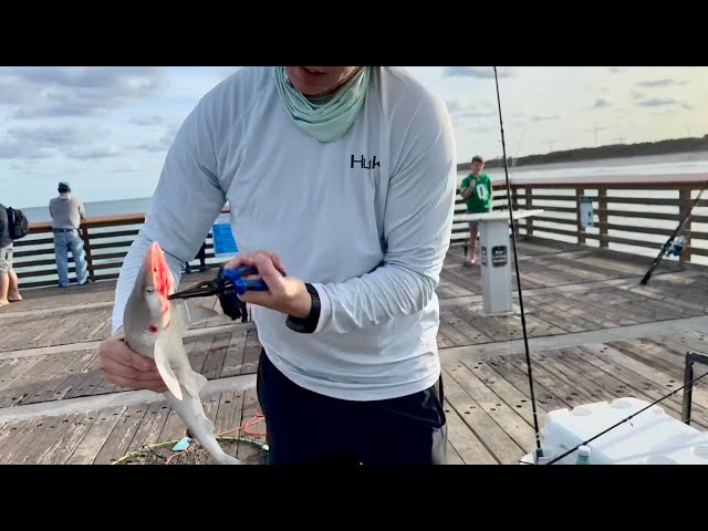 Fishing at Juno Beach Pier … then this happened !