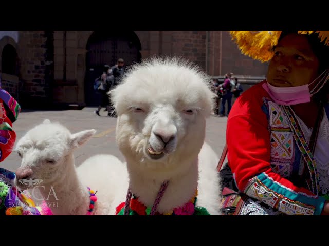 Destination Highlights: Cusco