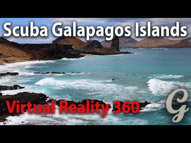 Scuba Galapagos Islands: An Amazing Vr 360 Experience!