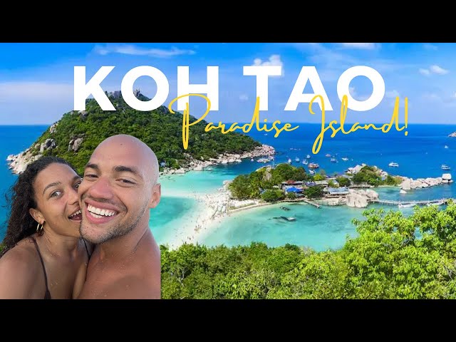 The GOOD LIFE in KOH TAO | THAILAND