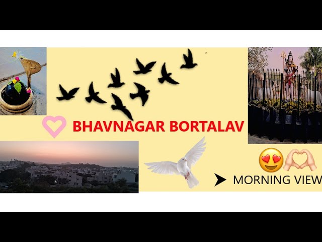 BHAVNAGAR MORNING VIEW 😍💞 ભાવનગર મોર્નિંગ વ્યુ....❤️#tarending #varl #vlog #bhavnagar #gujarat #new