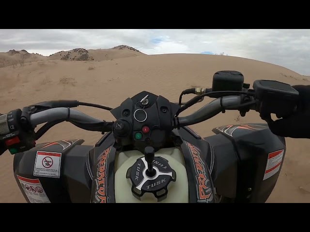 Cruising in the dunes on Predator 500