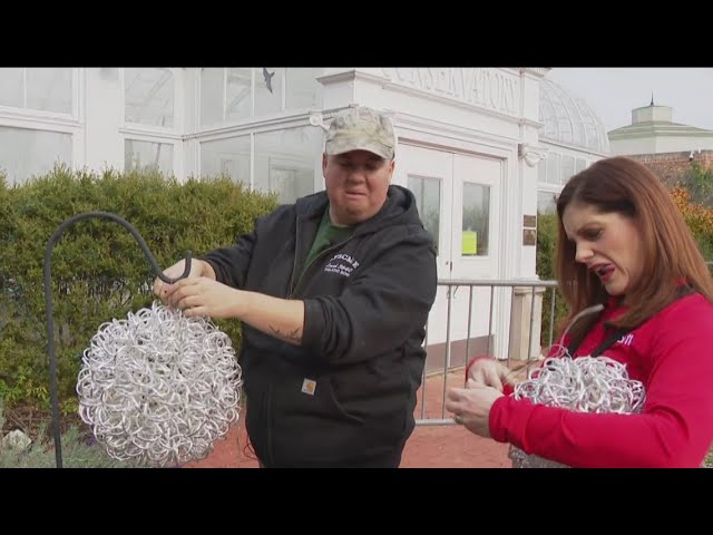 Try This! | Lights Before Christmas at the Toledo Zoo