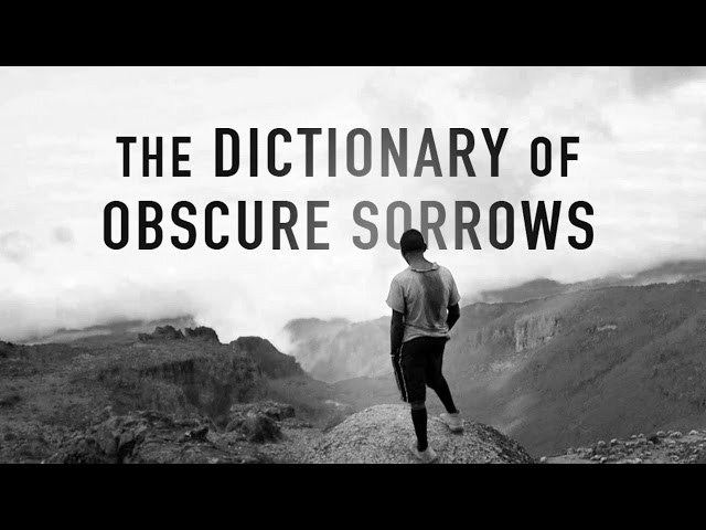 The Dictionary of Obscure Sorrows: For Lack Of A Better World