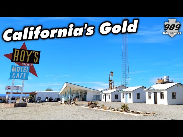 California's Gold: Exploring Abandoned Motels and Homes in Amboy, California