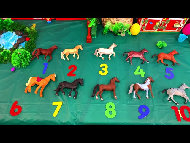 Horse Toy Collection for Kids: Meet the Equine Friends