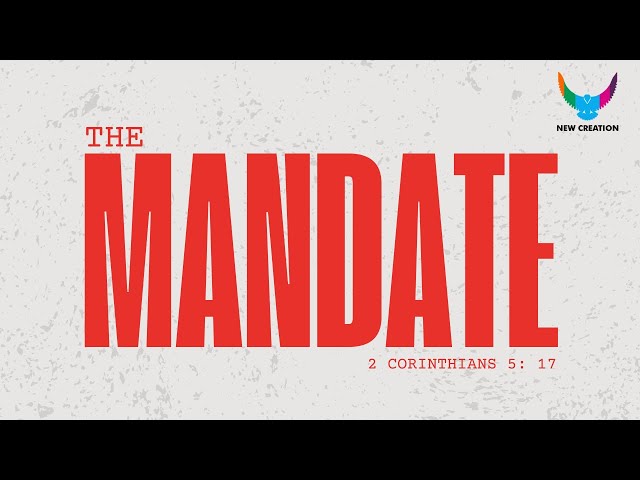 THE MANDATE | FRANKLYN GINGER - EKE