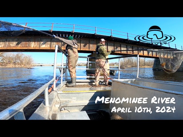 Walleye Shocking with the Wisconsin DNR in Marinette, WI 😃👍