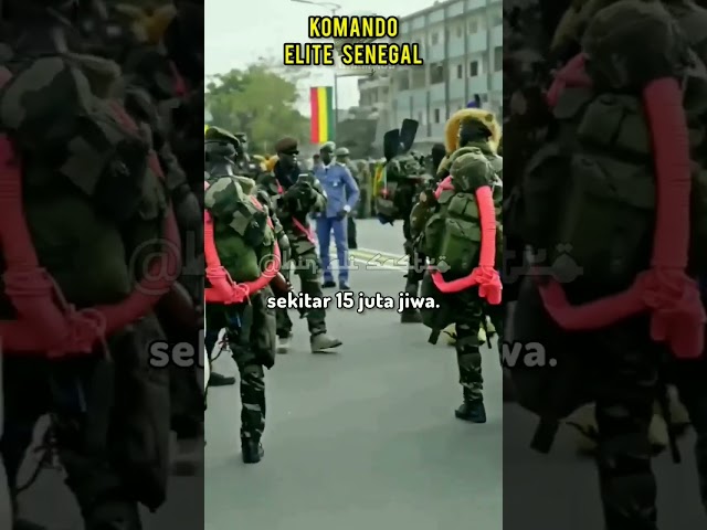 Penampilan Pasukan Elit Senegal yang Perkasa #tentara