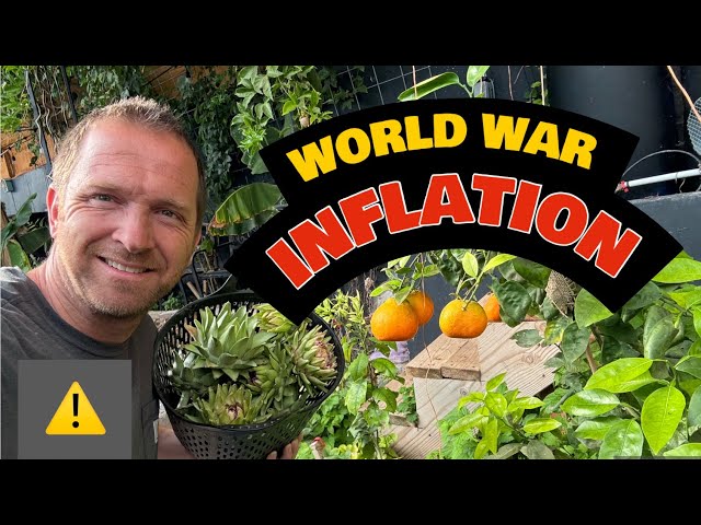 World War INFLATION and The Homestead