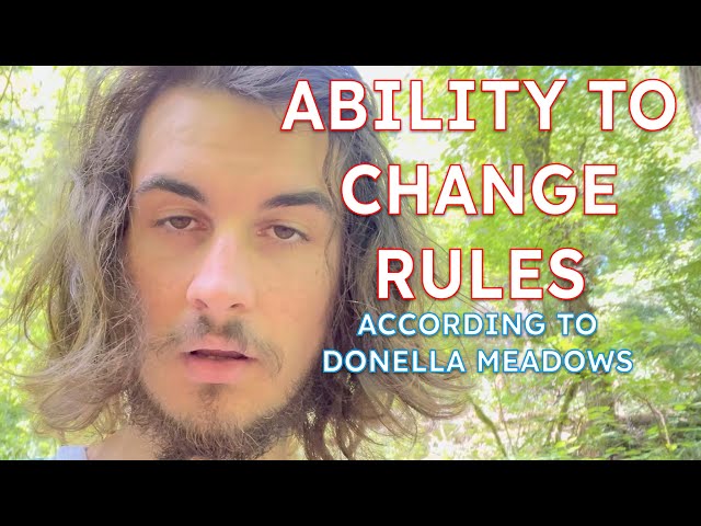 Leverage Point 4: Ability to Change Rules || Systems Theory