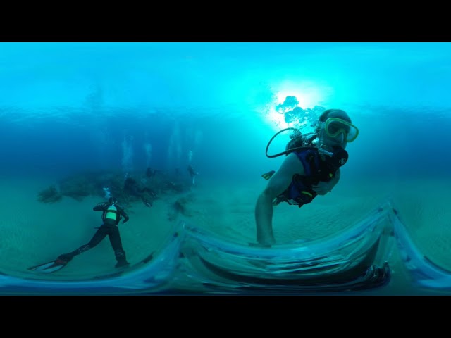 SPOTTING A RAY, DIVING IN SODWANA BAY