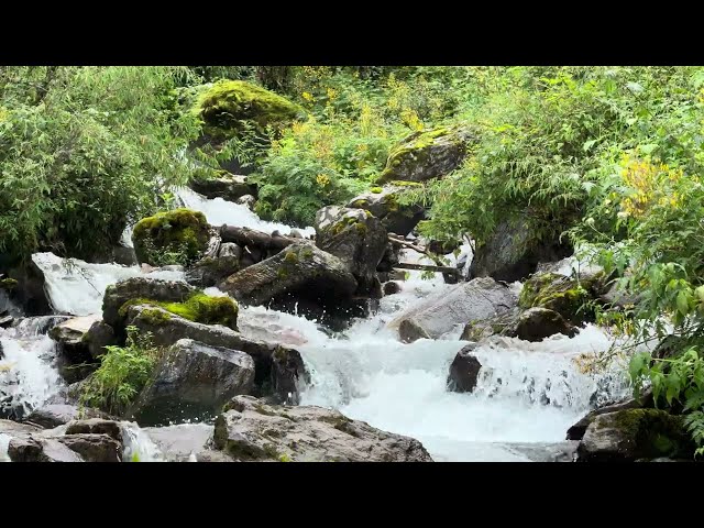 Relaxing river sound ||  Beautiful nature & Water sounds