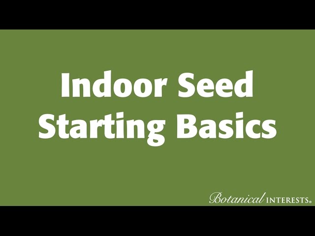 Indoor Seed Starting Basics