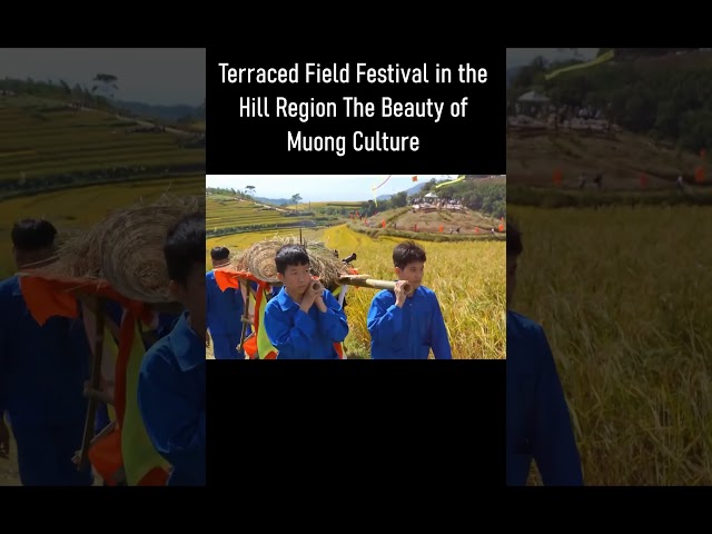 Terraced Field Festival in the Hill Region: The Beauty of Muong Culture