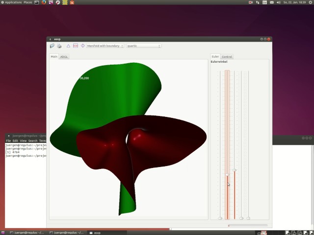 asxp - the Algebraic Surface eXPlorer