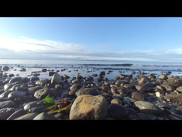 VR180 3D - Carkeek Park-Seattle