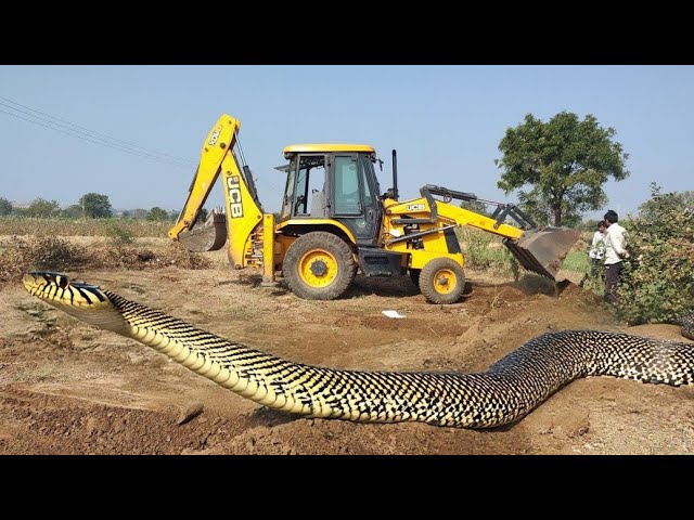 JCB 3dx Backhoe Maschine loading mud In Mahindra 475 Di tractor JCB khudai Mud #jcb #jcb3dxmachine