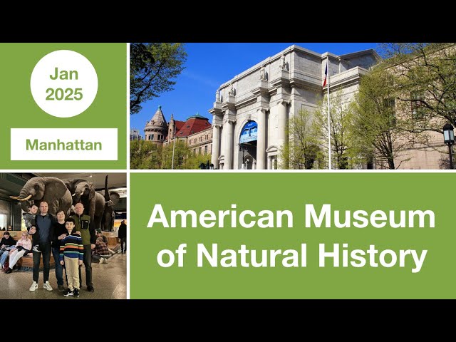 American Museum of Natural History | Manhattan | NYC | USA