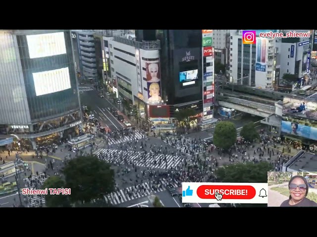 4k. Time lapse Aerial  View of Shibuya crossing in Tokyo of Japan|Shienwi