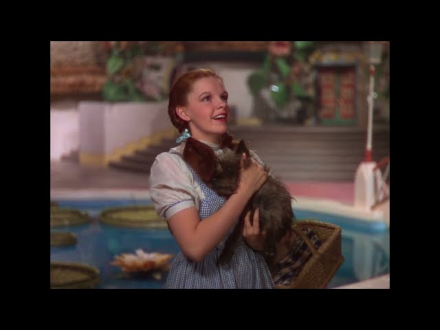 The Wizard of Oz 1939 "We're not in Kansas anymore" 4K HDR Technicolor