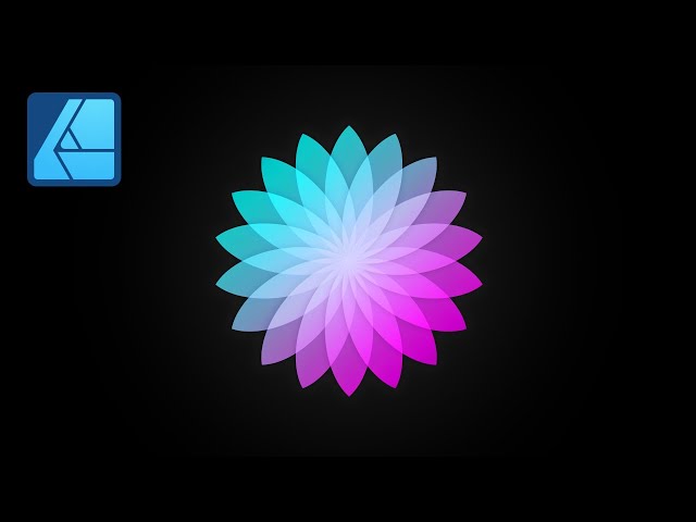 Beautiful Floral Design - Affinity Designer Tutorial