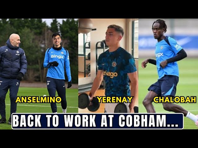 BACK TO TRAINING! Anselmino X Maresca Yeremay Hernandez And Chalobah All At Cobham.