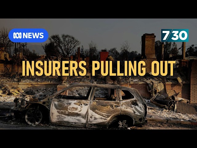 Los Angeles wildfires expose an insurance crisis | 7.30