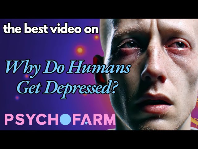 Why Do Humans Get Depression? What Really Is Depression? (Understanding Depression Through Grief)