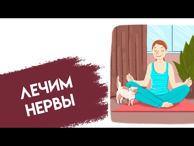 лечим нервы // мой день // право на мечту